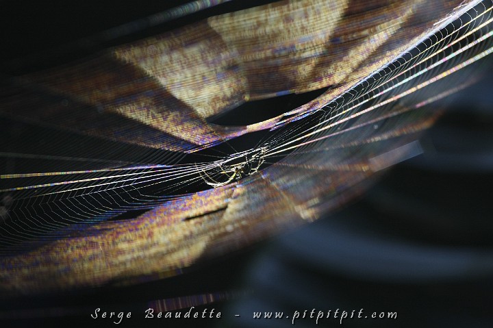 2009-01-12 15-13-46__MG_2947.JPG